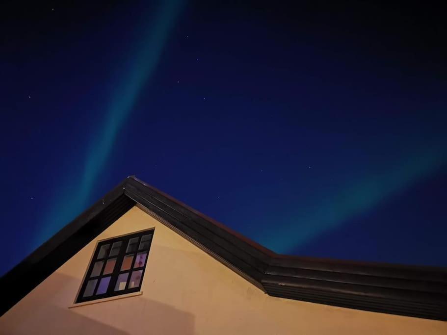 Icelandic Art Garden Villa W. Parking In Centre City Рейкьявик Экстерьер фото
